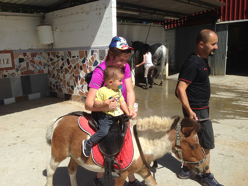 baby-pony-1