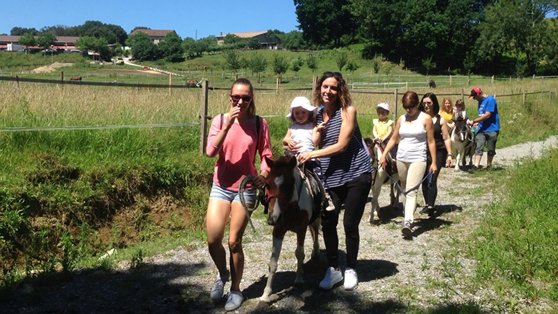 baby-pony-2